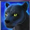 Символ игрового автомата Panther Moon Пантера