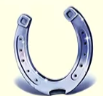 Символ игрового автомата Lucky Lady's Charm Deluxe 10 Подкова