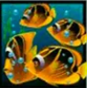 Символ игрового автомата Dolphin’s Pearl Рыбы