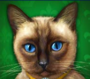 Символ игрового автомата Diamond Cats Сиамский кот